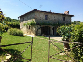 Villa nel Chianti - Casa Laura
